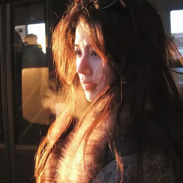 与森林共舞